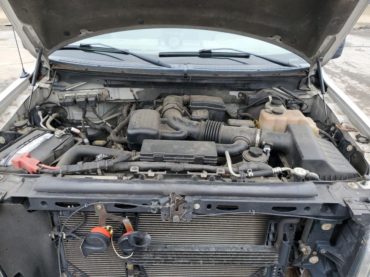 FORD F-150 2010 VIN 1FTFX1EV6AFC40331 zdjęcie 11