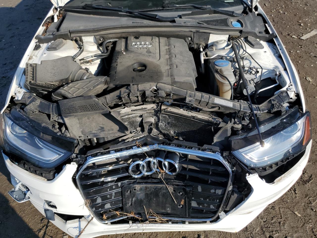 2014 Audi A4 Premium Plus VIN: WAUFFAFL2EN011637 Lot: 58537255