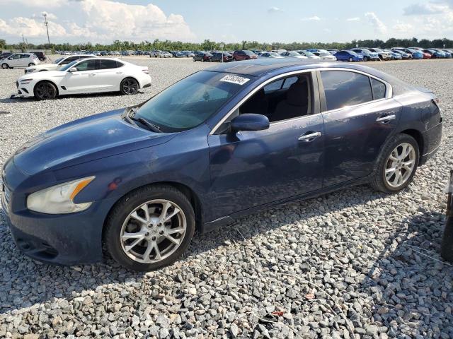  NISSAN MAXIMA 2013 Granatowy