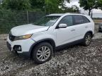 2011 Kia Sorento Ex   zu verkaufen in Cicero, IN - Front End