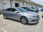 Louisville, KY에서 판매 중인 2016 Hyundai Sonata Se - Rear End