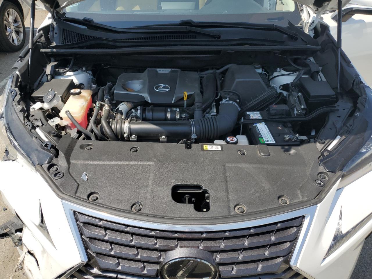 2020 Lexus Nx 300 VIN: JTJDARBZ2L5004490 Lot: 62166645
