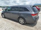 2017 Honda Odyssey Exl იყიდება Prairie Grove-ში, AR - Hail