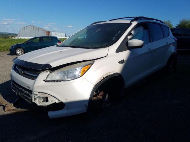 Parquets FORD ESCAPE 2013 Biały