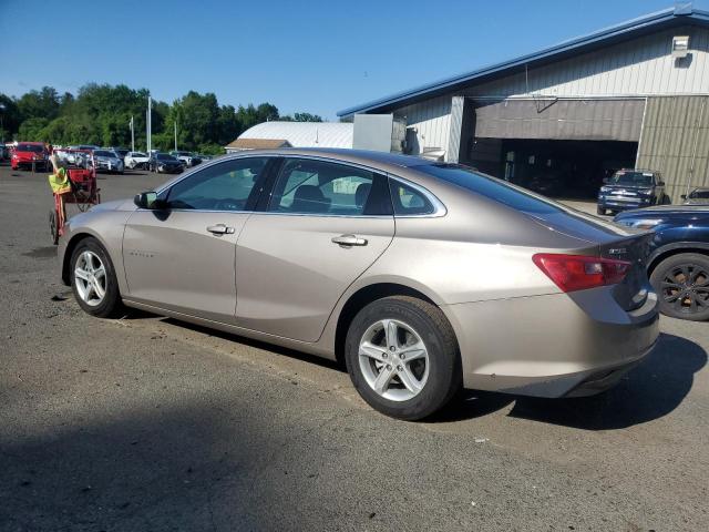  CHEVROLET MALIBU 2023 tan