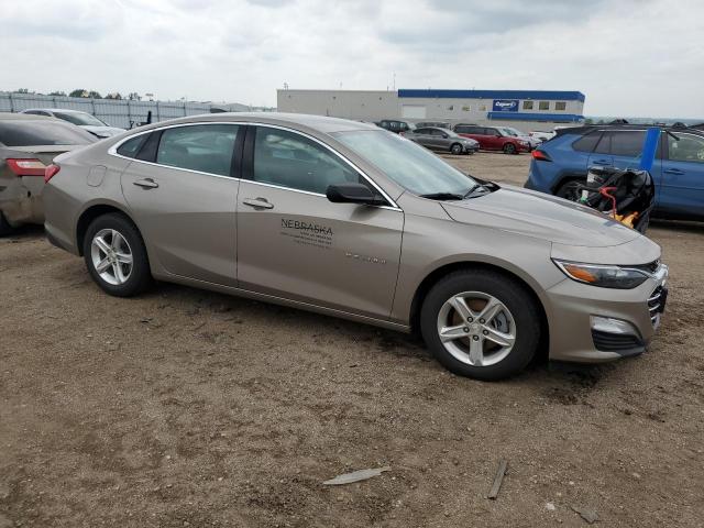  CHEVROLET MALIBU 2023 tan
