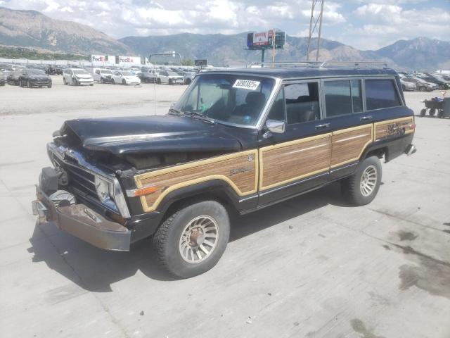 1989 Jeep Grand Wagoneer 