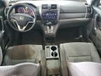 Lexington, KY에서 판매 중인 2008 Honda Cr-V Ex   - Rear End