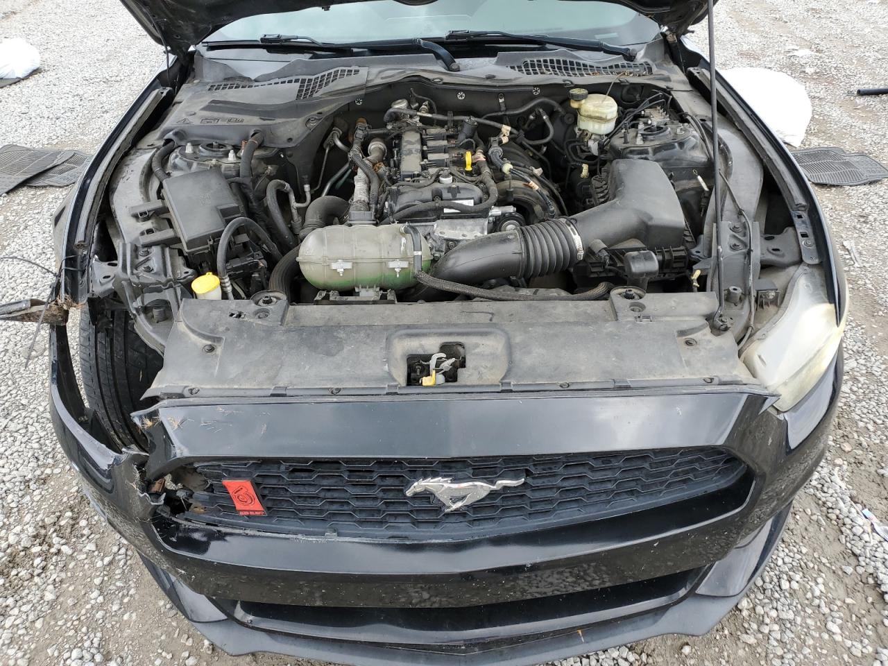 2015 Ford Mustang VIN: 1FA6P8TH2F5301554 Lot: 60913375