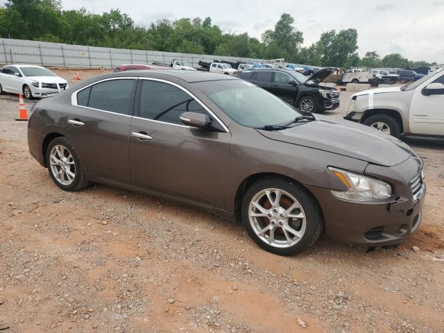 Sedans NISSAN MAXIMA 2012 tan