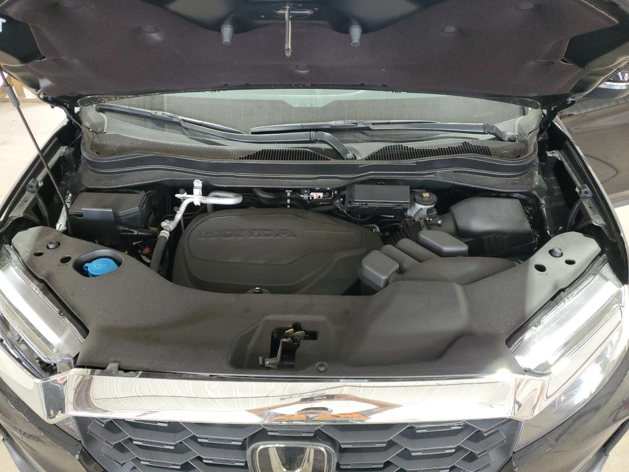2025 Honda Passport Exl VIN: 5FNYF8H58SB012143 Lot: 60913695