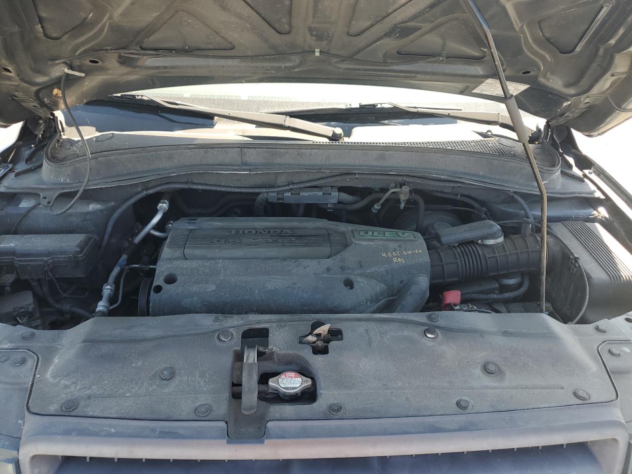 2004 Honda Pilot Exl VIN: 2HKYF18734H509341 Lot: 62646105