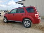 2010 Ford Escape Xlt for Sale in Temple, TX - Front End
