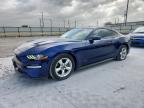 2019 Ford Mustang  for Sale in Haslet, TX - Hail