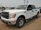 2013 Ford F150 Supercrew for Sale in Elgin, IL - Side