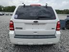 2010 Ford Escape Xlt   for Sale in Apopka, FL - Front End