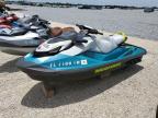 2024 Seadoo Gti 170 for Sale in Arcadia, FL - Normal Wear