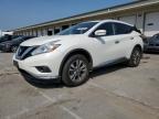 2017 Nissan Murano S продається в Louisville, KY - Rear End