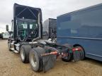 2016 Freightliner Cascadia 125 Semi Truck იყიდება Wilmer-ში, TX - Normal Wear