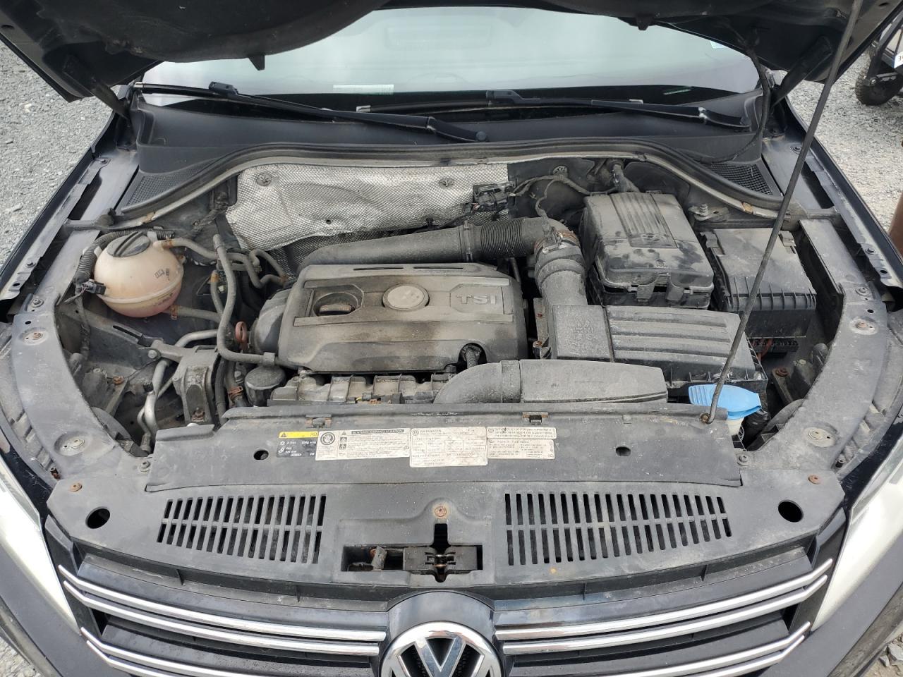 2013 Volkswagen Tiguan S VIN: WVGJV7AX8DW543458 Lot: 59382945