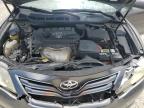 2010 Toyota Camry Base   продається в Lumberton, NC - Water/Flood