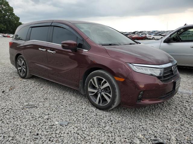  HONDA ODYSSEY 2021 Bordowy