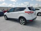 2015 Ford Escape Se იყიდება Haslet-ში, TX - Hail