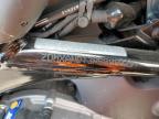 2024 Ducati Desert X  للبيع في Colorado Springs، CO - Side