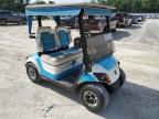 2019 Golf Cart Cart للبيع في Ocala، FL - Burn