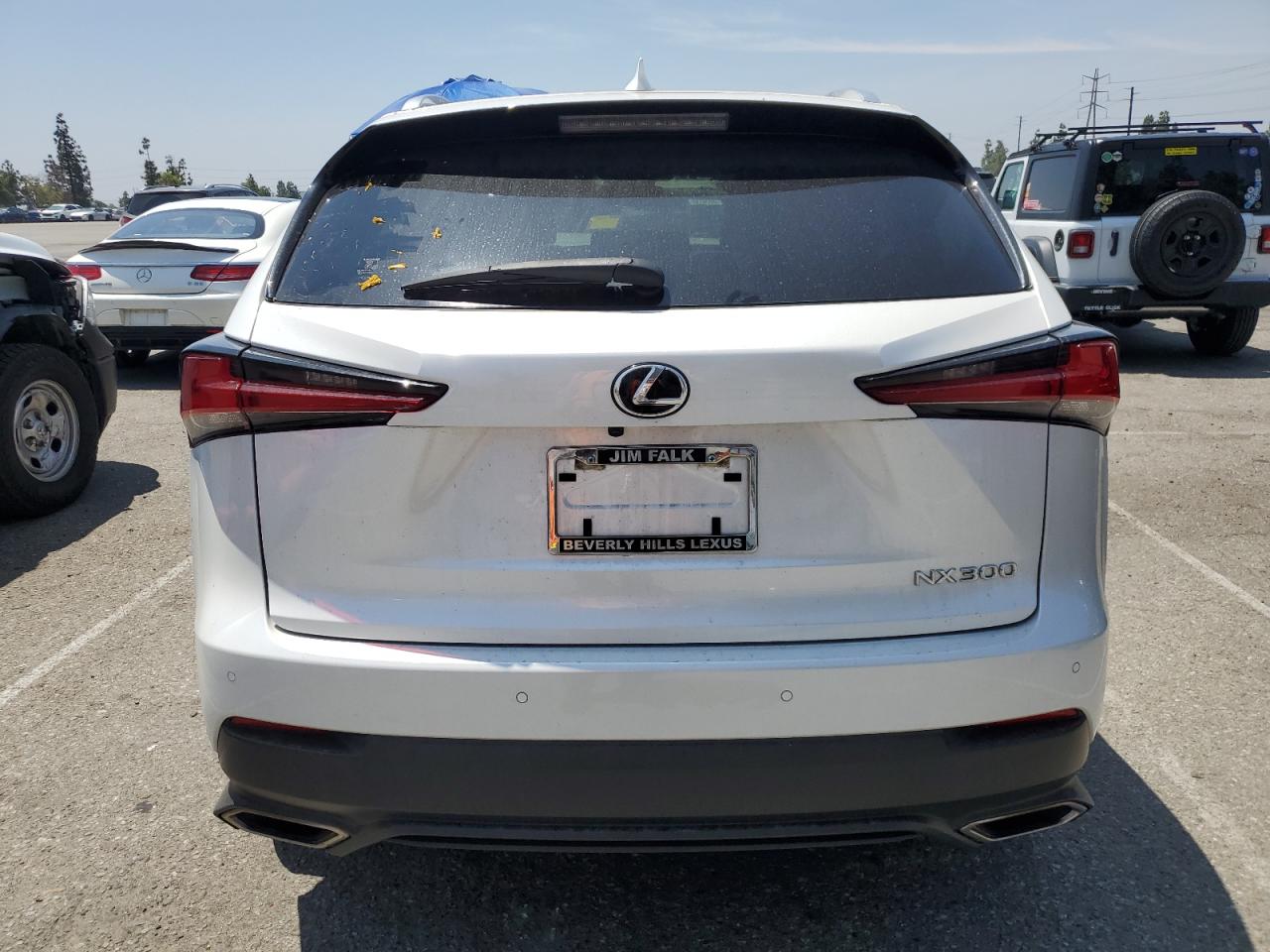 2020 Lexus Nx 300 VIN: JTJGARBZ1L5008124 Lot: 60742225