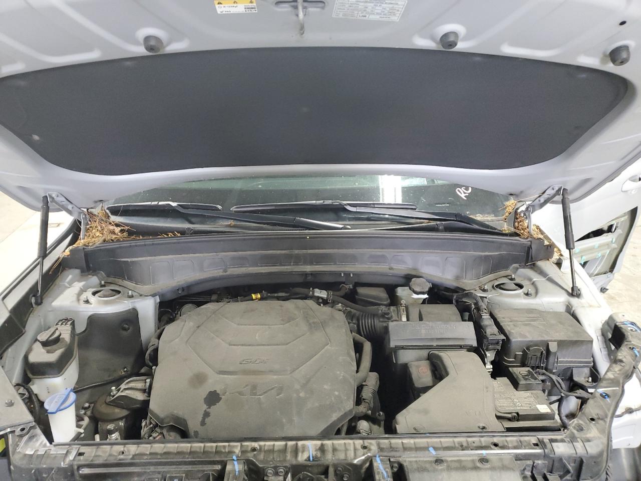 2022 Kia Telluride Sx VIN: 5XYP5DHC7NG273508 Lot: 61085015
