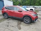 2021 Honda Cr-V Ex за продажба в Shreveport, LA - Side