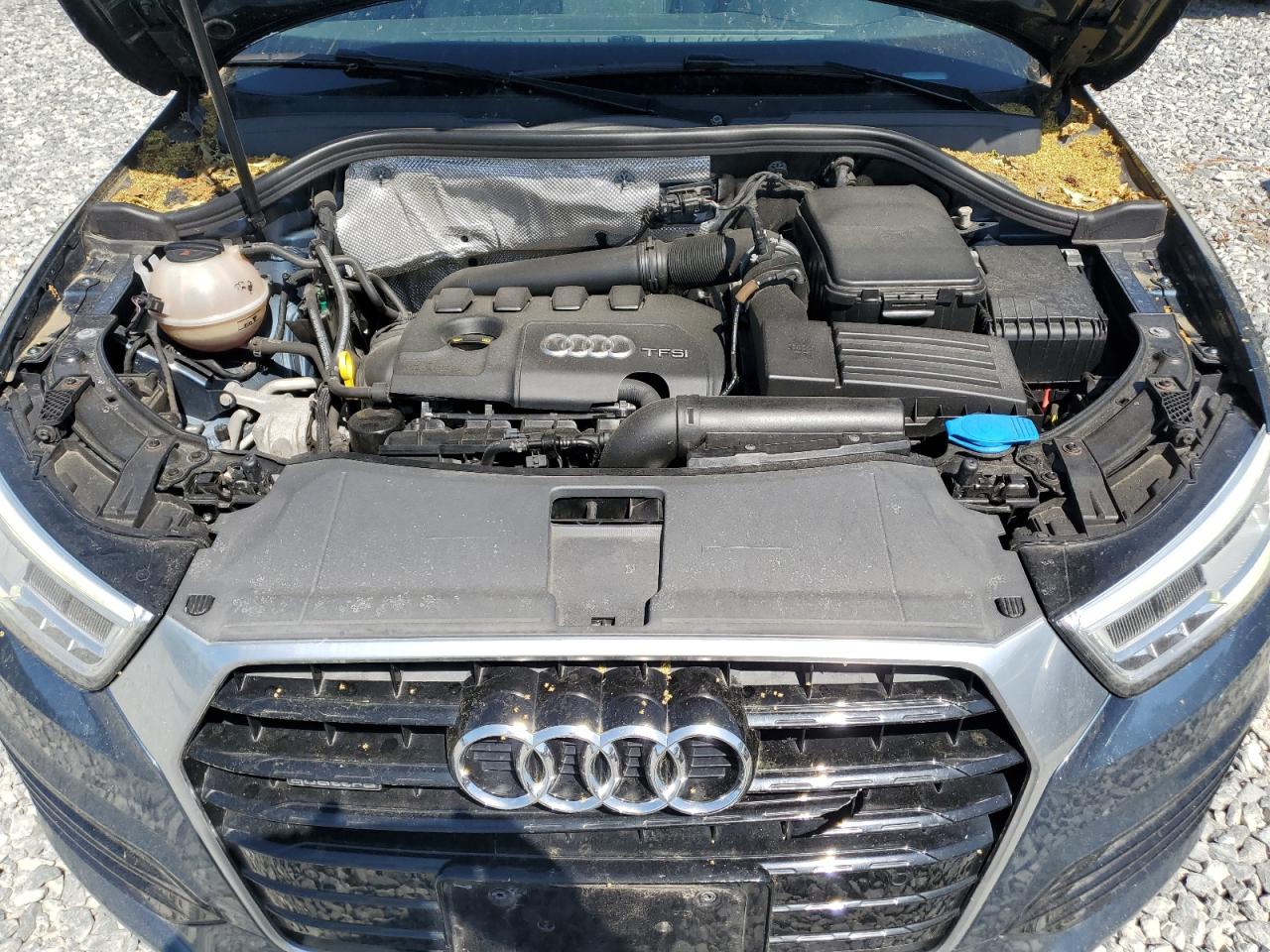 2017 Audi Q3 Prestige VIN: WA1GCCFS7HR007531 Lot: 62000965