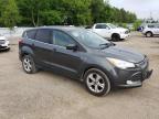 2016 Ford Escape Se   за продажба в London, ON - Front End