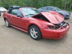 2002 FORD MUSTANG    for sale at Copart ON - COOKSTOWN