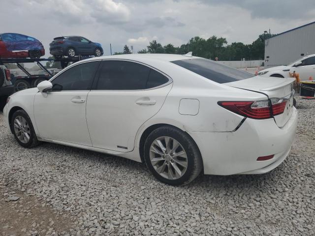  LEXUS ES300 2014 Белы
