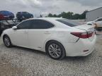 2014 Lexus Es 300H იყიდება Columbus-ში, OH - Rear End