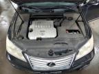 2010 Lexus Es 350 продається в Ham Lake, MN - Front End