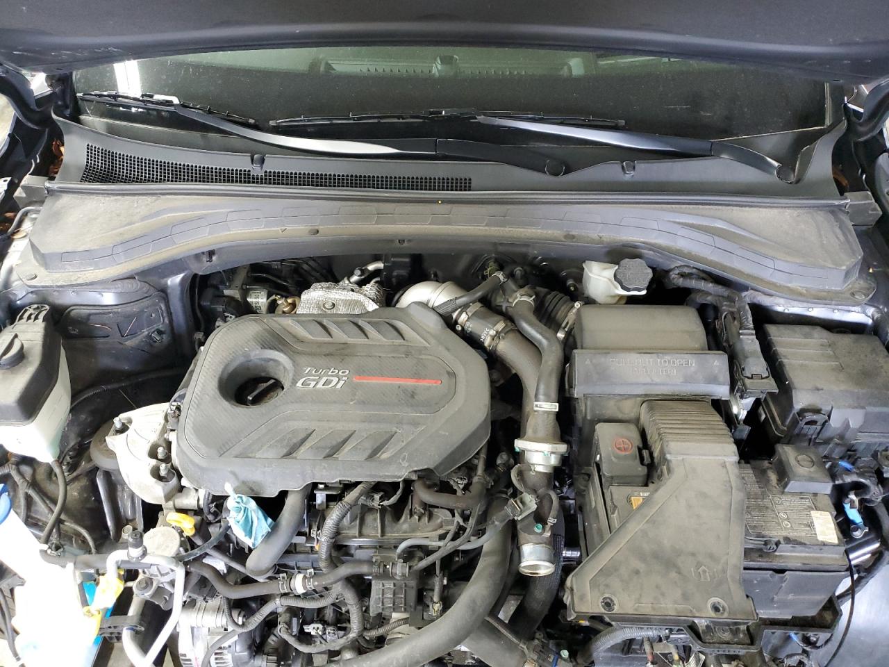 2020 Hyundai Santa Fe Limited VIN: 5NMS5CAA3LH286207 Lot: 61013185