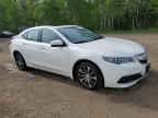 2015 ACURA TLX TECH for sale at Copart ON - COOKSTOWN