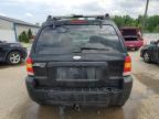 2005 Ford Escape Xlt продається в Louisville, KY - Hail