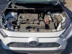 2024 Toyota Rav4 Xle en Venta en Anthony, TX - All Over