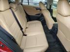 Brighton, CO에서 판매 중인 2024 Toyota Rav4 Xle Premium - Front End
