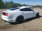 2021 FORD MUSTANG GT   for sale at Copart ON - COOKSTOWN