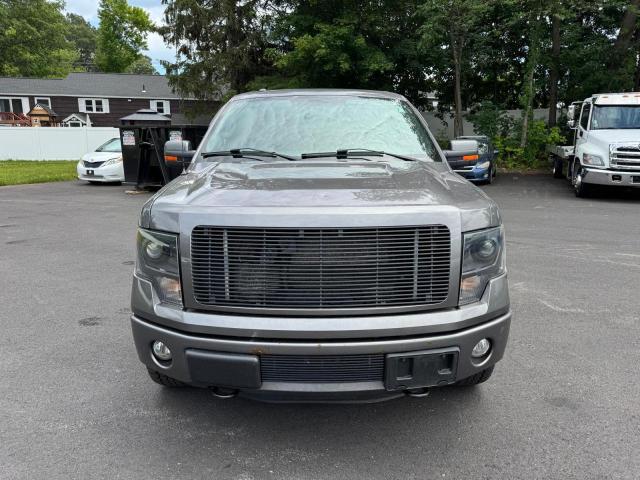 Пикапы FORD F-150 2013 Серый