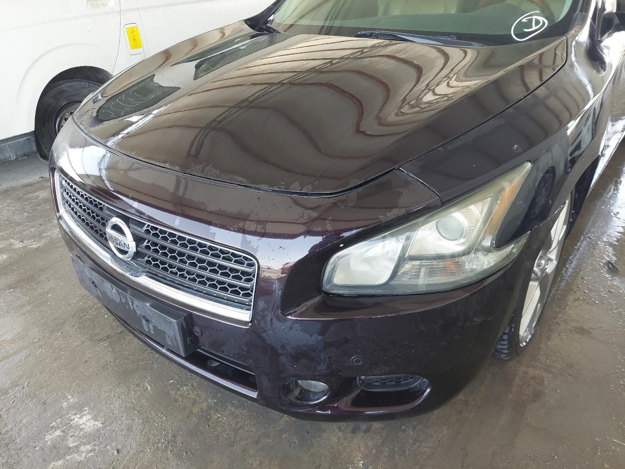 1N4AA5AP8BC804502 - 2011 Nissan MAXIMA - #undefined