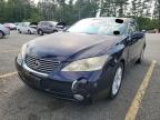 2008 Lexus Es 350 for Sale in North Billerica, MA - Normal Wear