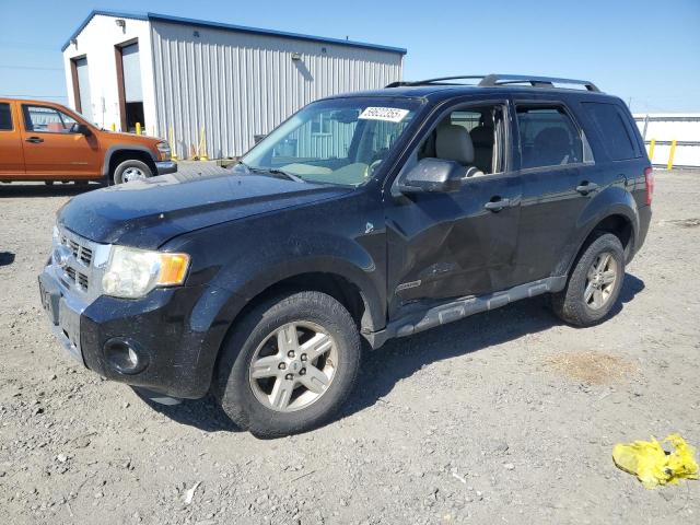 2008 Ford Escape Hev