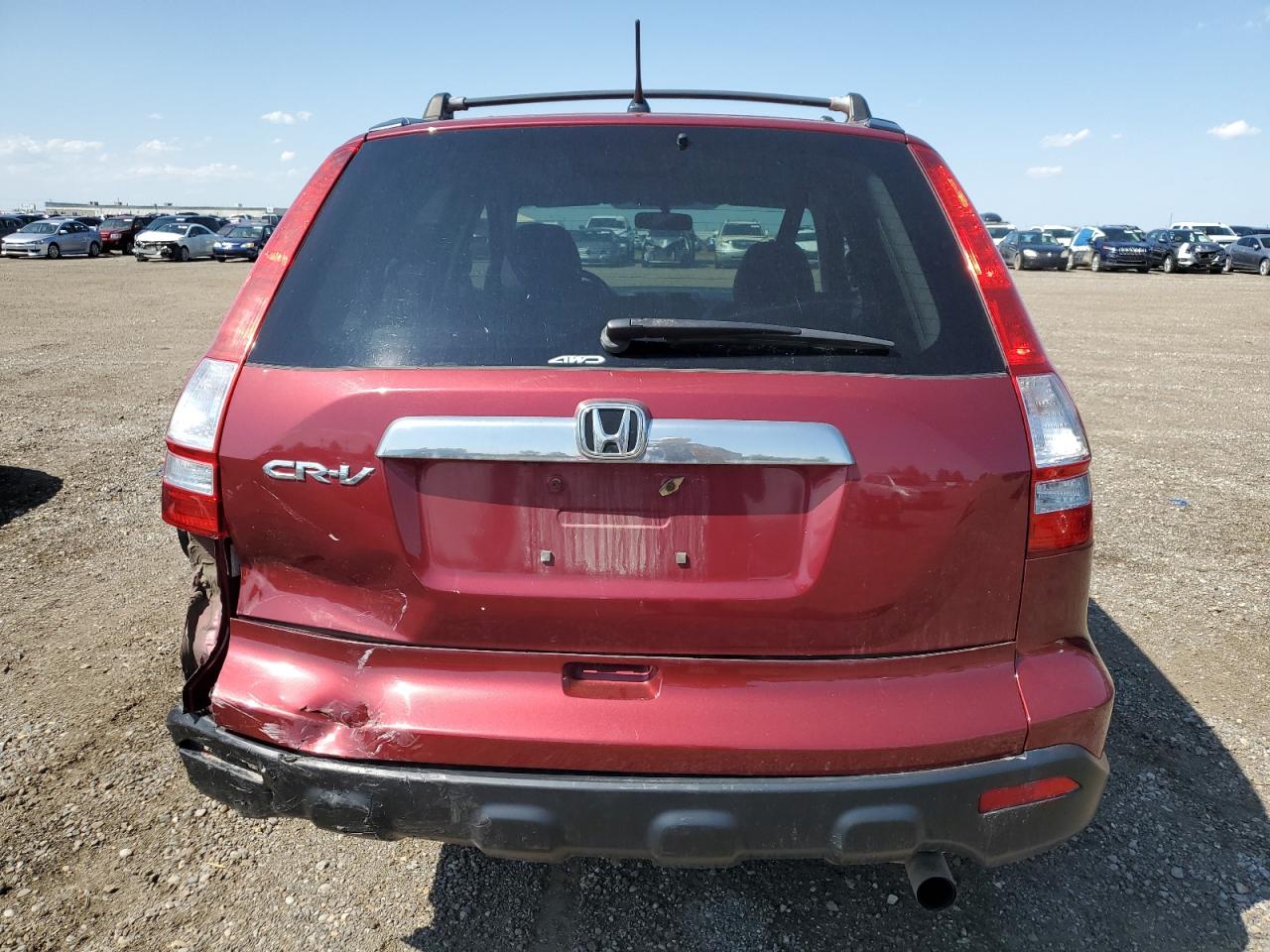 2009 Honda Cr-V Exl VIN: 5J6RE487X9L814664 Lot: 60425785