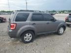 2010 Ford Escape Xlt for Sale in Lawrenceburg, KY - Front End
